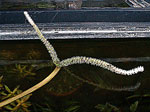 tp050414.jpg