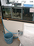 tp050420-1.jpg