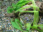 tp050422.jpg