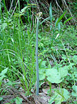 tp050426.jpg