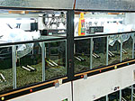 tp050428-1.jpg