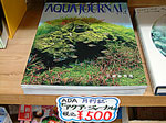 tp050428-2.jpg
