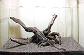 tp050429-2.jpg