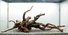 tp050503.jpg