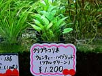 tp050506-1.jpg