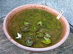 tp050510.jpg
