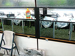 tp050513-1.jpg