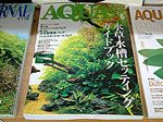 tp050513-2.jpg