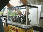 tp050515.jpg