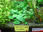 tp050516.jpg
