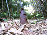 tp050517.jpg