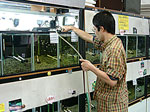 tp050518.jpg