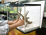 tp050522-2.jpg