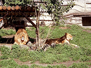 tp050523.jpg