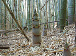 tp050524.jpg