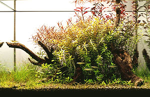 tp050528.jpg