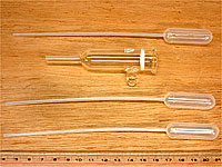 tp050806.jpg