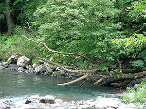 tp050809.jpg