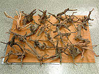 tp050813-S.jpg
