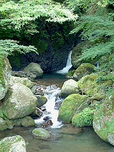 tp050816.jpg