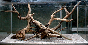 tp050819.jpg