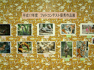 tp050830.jpg