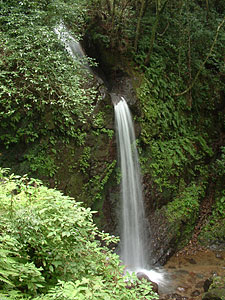 tp050831.jpg