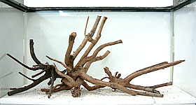 tp050904-1.jpg