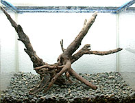 tp050904-2.jpg